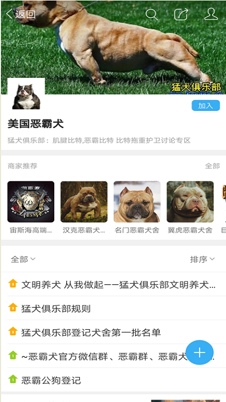 猛犬俱乐部